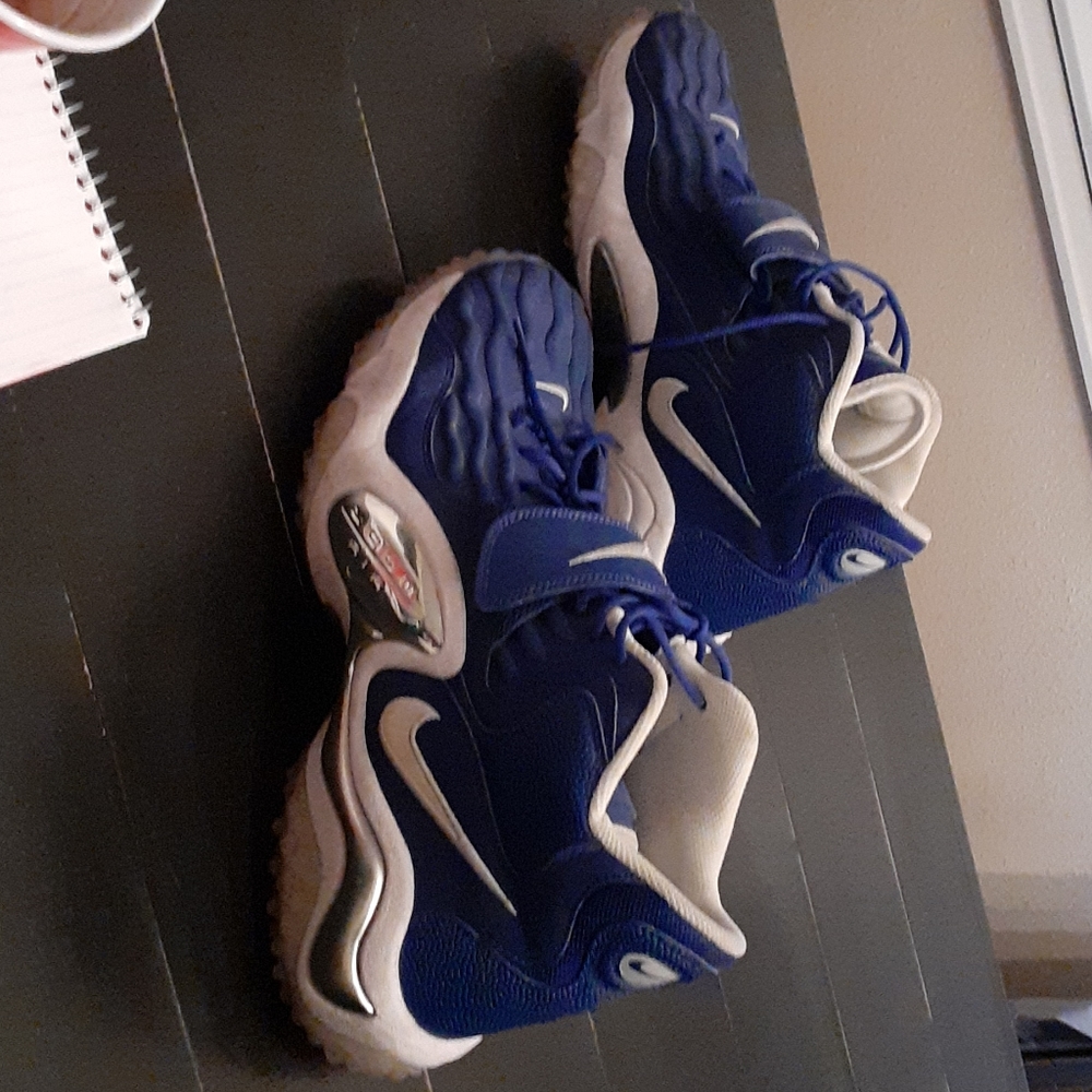 Nike Zoom Air Mens Shoes